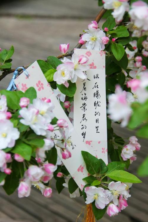 海棠文化app缩略图