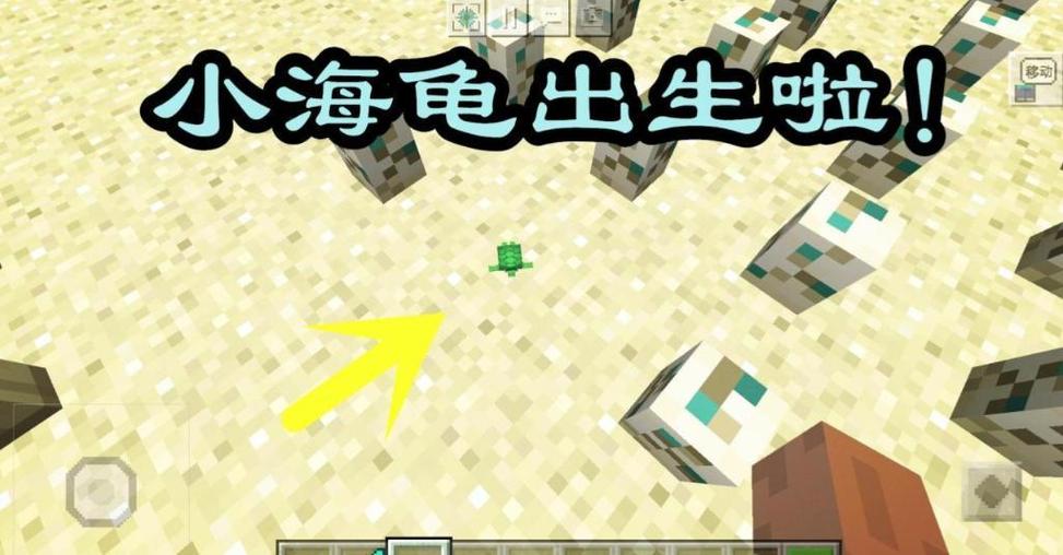 小龟和小海我的世界2
