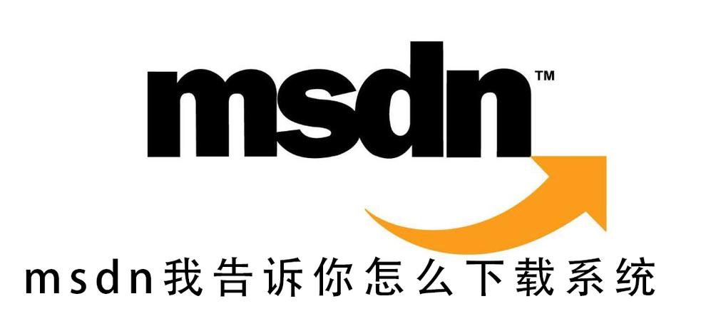 MSDN,我告诉你(中文站)图标