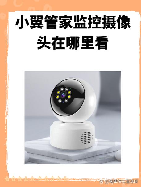 小翼管家看家缩略图