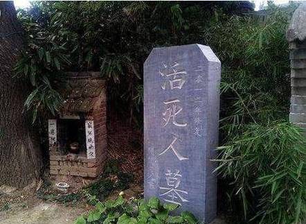 活死人之墓缩略图