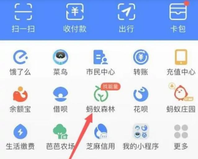 蚂蚁森林屏蔽好友偷能量步骤缩略图