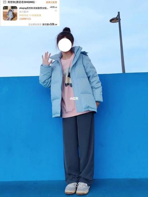 羽绒服套羽绒服穿法图标