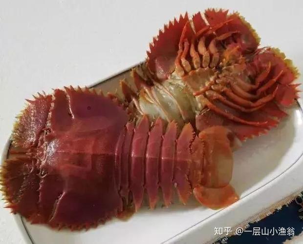 皮皮虾去升级版去广告下载
