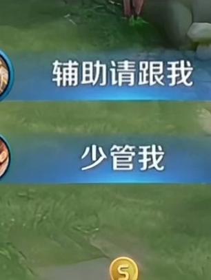 王者辅助软件下载 app图标