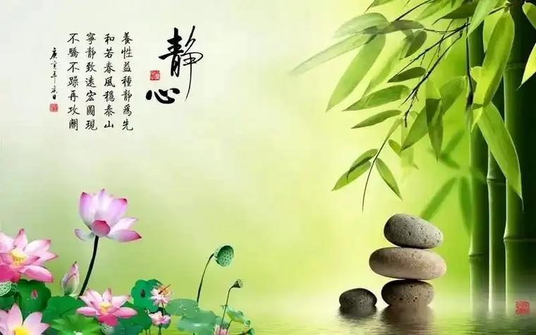 怎么安慰不想吃饭的人