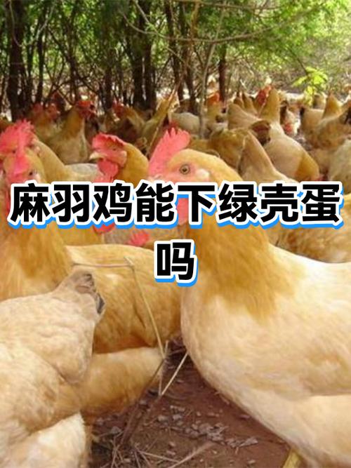 绿壳蛋是癌细胞最喜欢吃的吗游戏截图