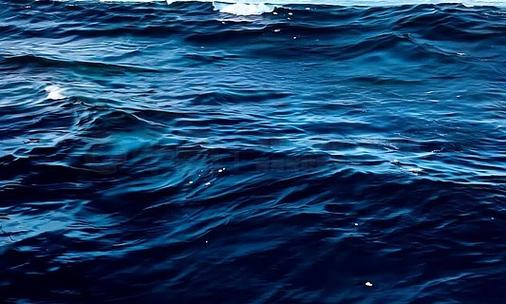 海洋视频app官方正版图标