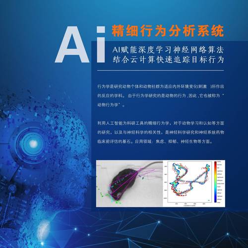 ai分析软件游戏截图