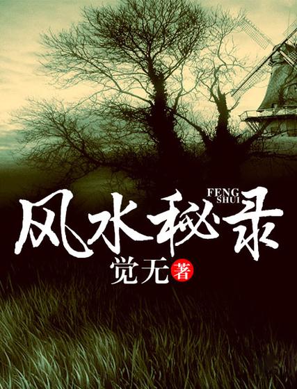 看风水软件缩略图