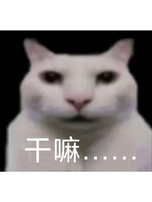 丰云行是干嘛的缩略图