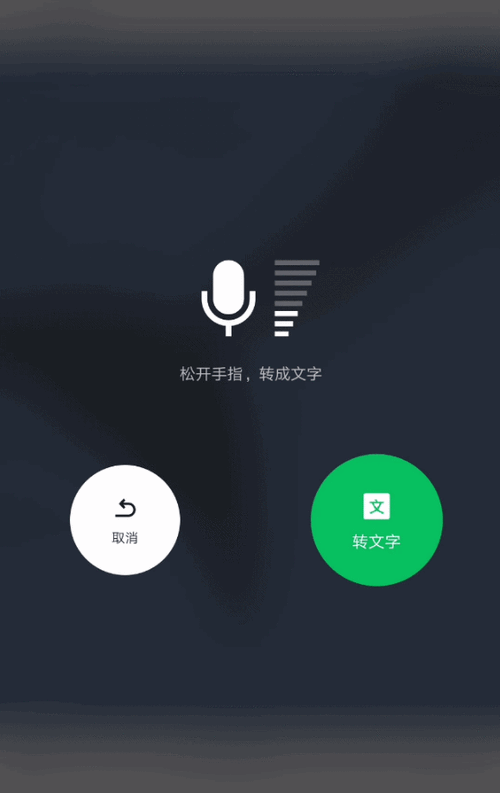 手机语音转文字缩略图