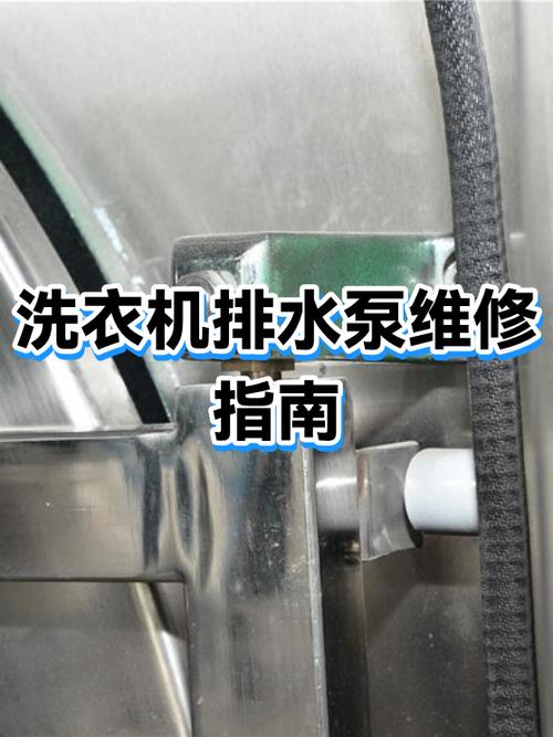 西门子洗衣机不能脱水了是什么原因游戏截图