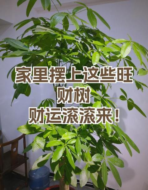开通平安旺财有风险吗缩略图