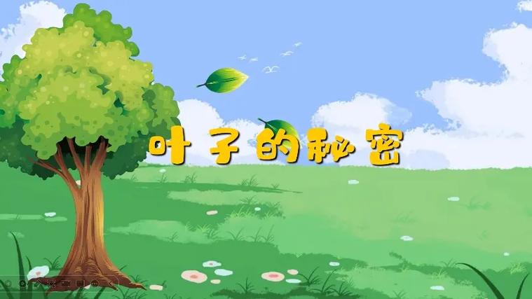 屏幕显示树叶是什么