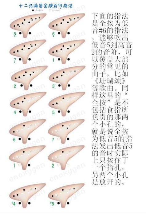 12孔陶笛入门基础教程游戏截图