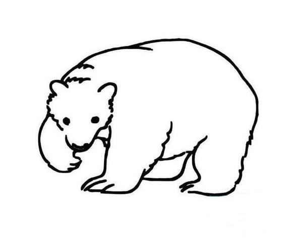 小熊简笔画图片图标