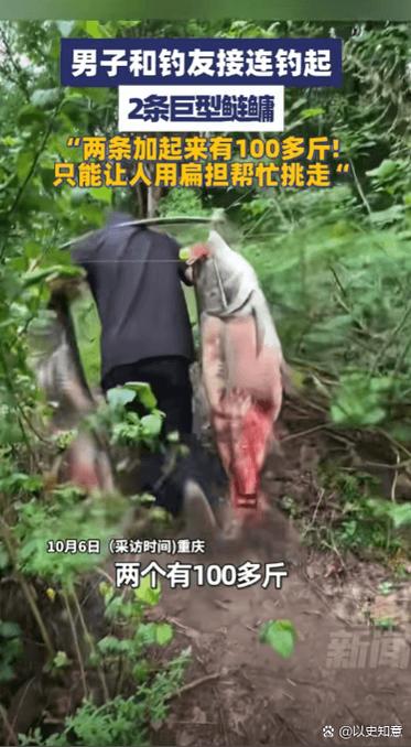 20公斤一般人能搬动吗