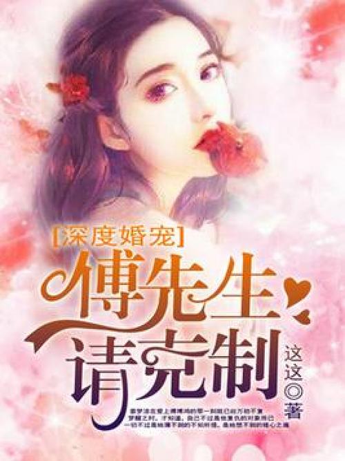 关于傅一的小说缩略图