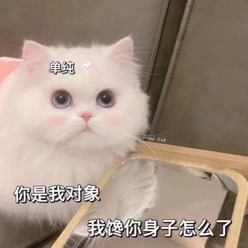 撩来撩去缩略图