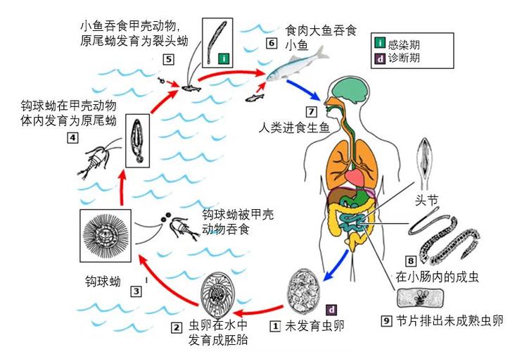 城市寄生虫v1.0.3缩略图