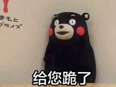 给跪表情包缩略图