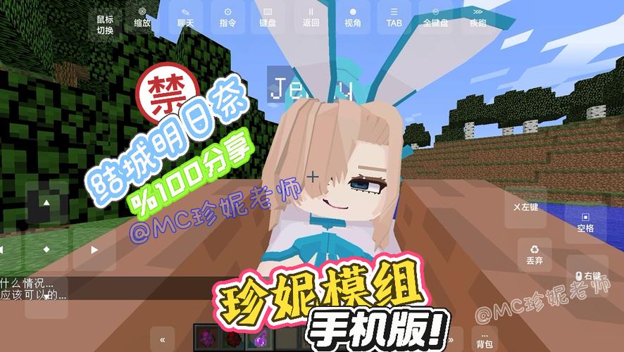 手机版珍妮模组下载缩略图