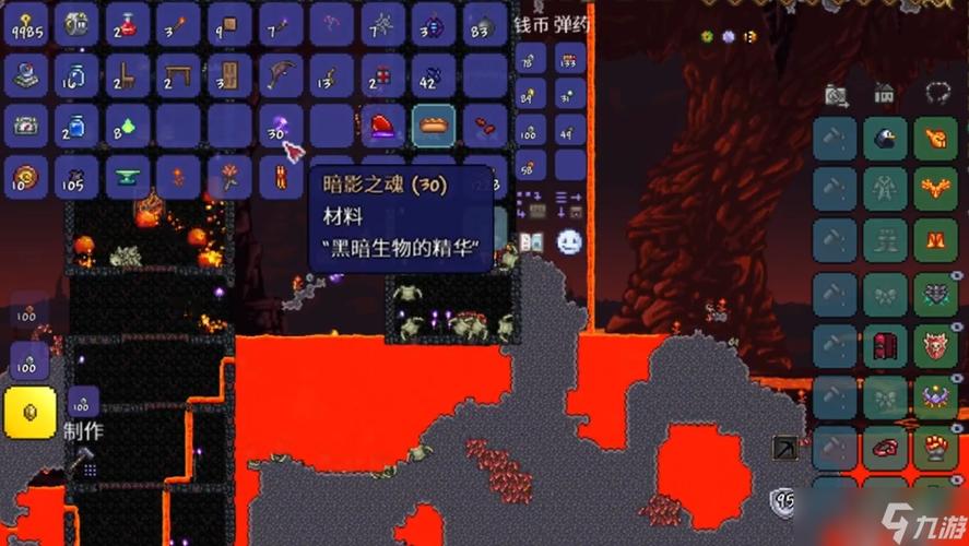 泰拉瑞亚黑暗之魂缩略图