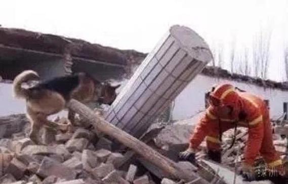 苹果11放视频没有声音怎么回事图标