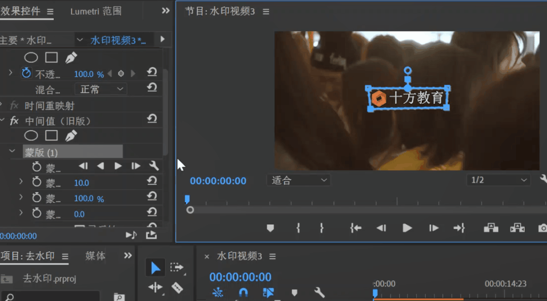 pr视频去水印教程游戏截图