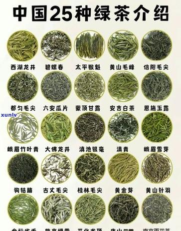 茶树最好的三个品种游戏截图