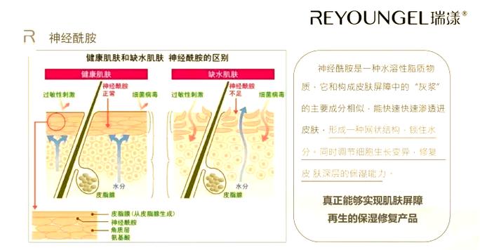 仓库里的皮肤能够送人吗缩略图