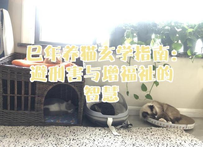 养猫有什么害处和危害图标