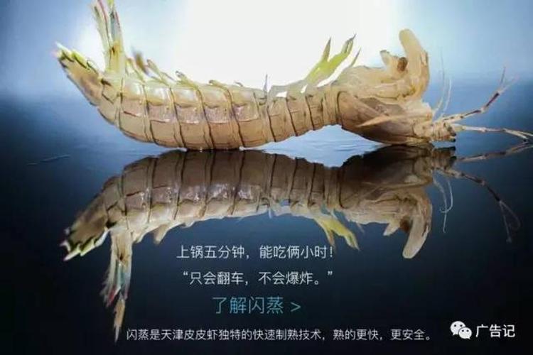 皮皮虾纯净无广告版缩略图