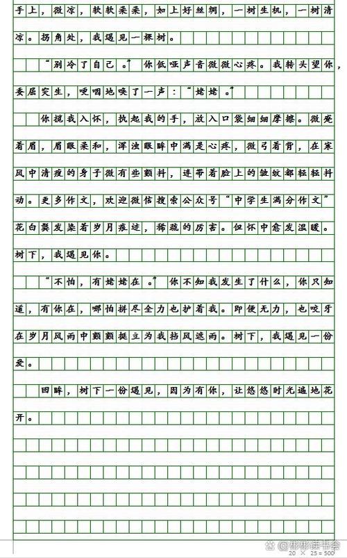 遇见作文600字以上图标