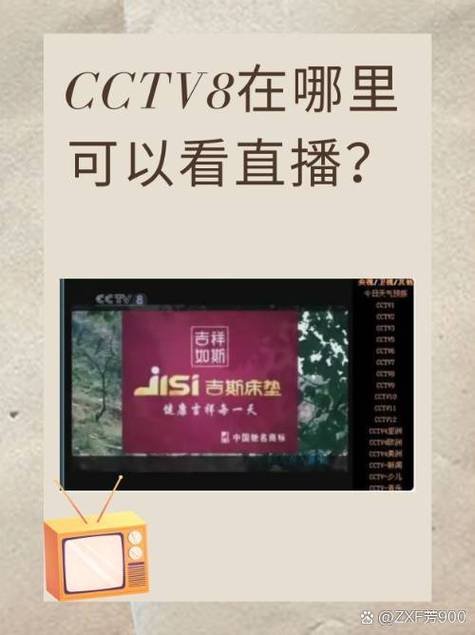 cctv8直播免费观看完整版缩略图