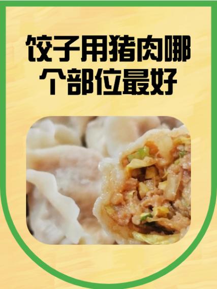 包饺子猪肉前腿好还是后腿好