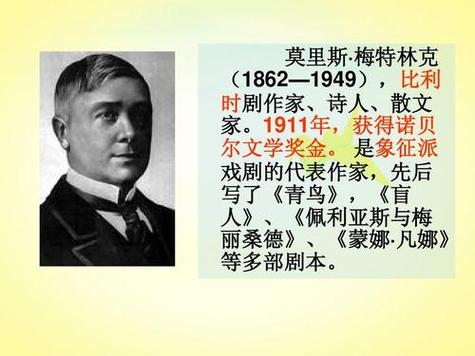 青鸟的主人公是谁缩略图