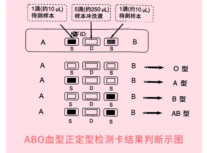 怎么知道自己血型缩略图