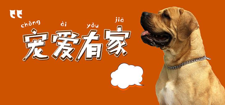 养狗有补贴吗图标