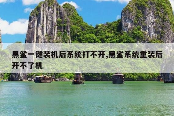 黑鲨重装系统重启黑屏游戏截图