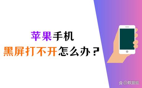 苹果6开机后马上又马上黑屏