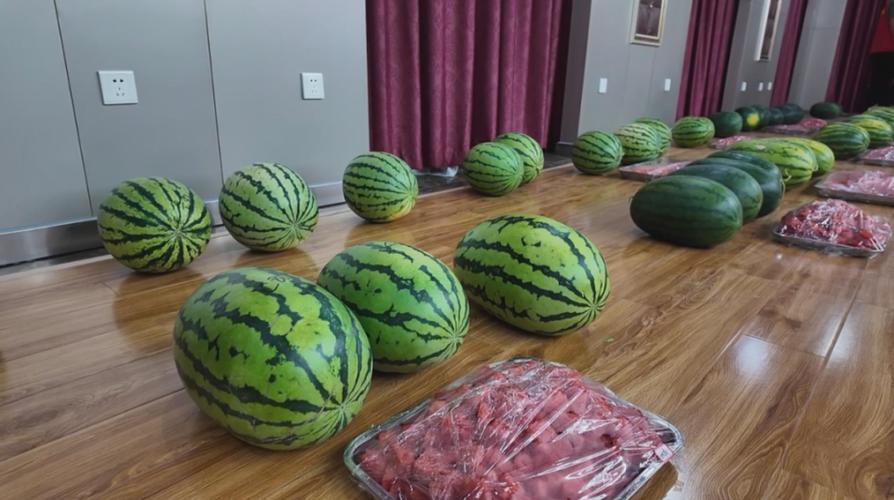 瓜图片和品种图标