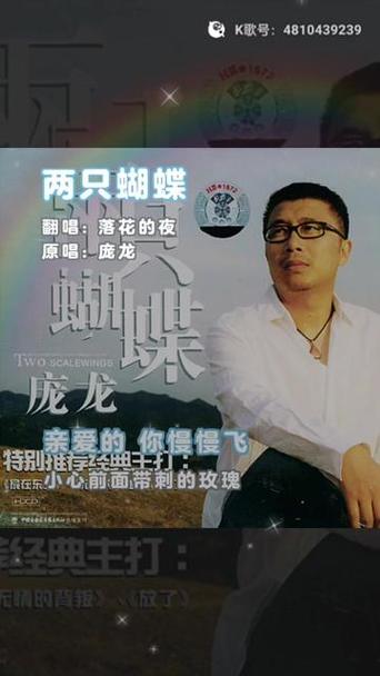 两只蝴蝶的原唱图标