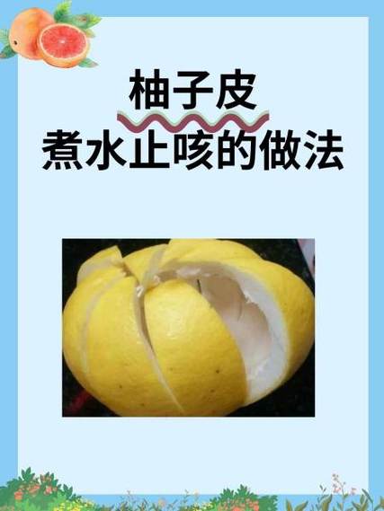 柚子皮与蜂蜜的功效游戏截图
