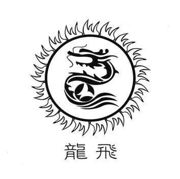 龙飞艺术签名设计免费版缩略图