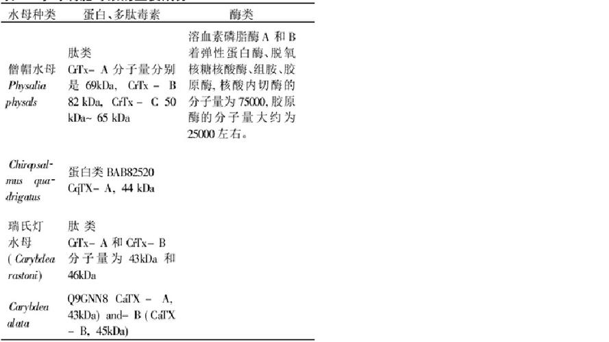 什么叫水母报告