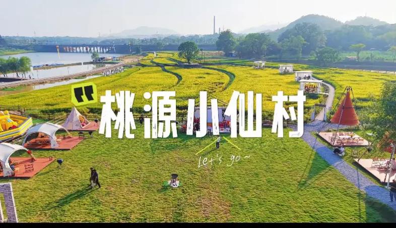 桃源小仙村缩略图