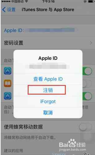 苹果如何保持后应用台不掉线游戏截图