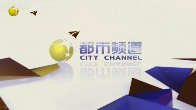 辽宁都市频道回看缩略图